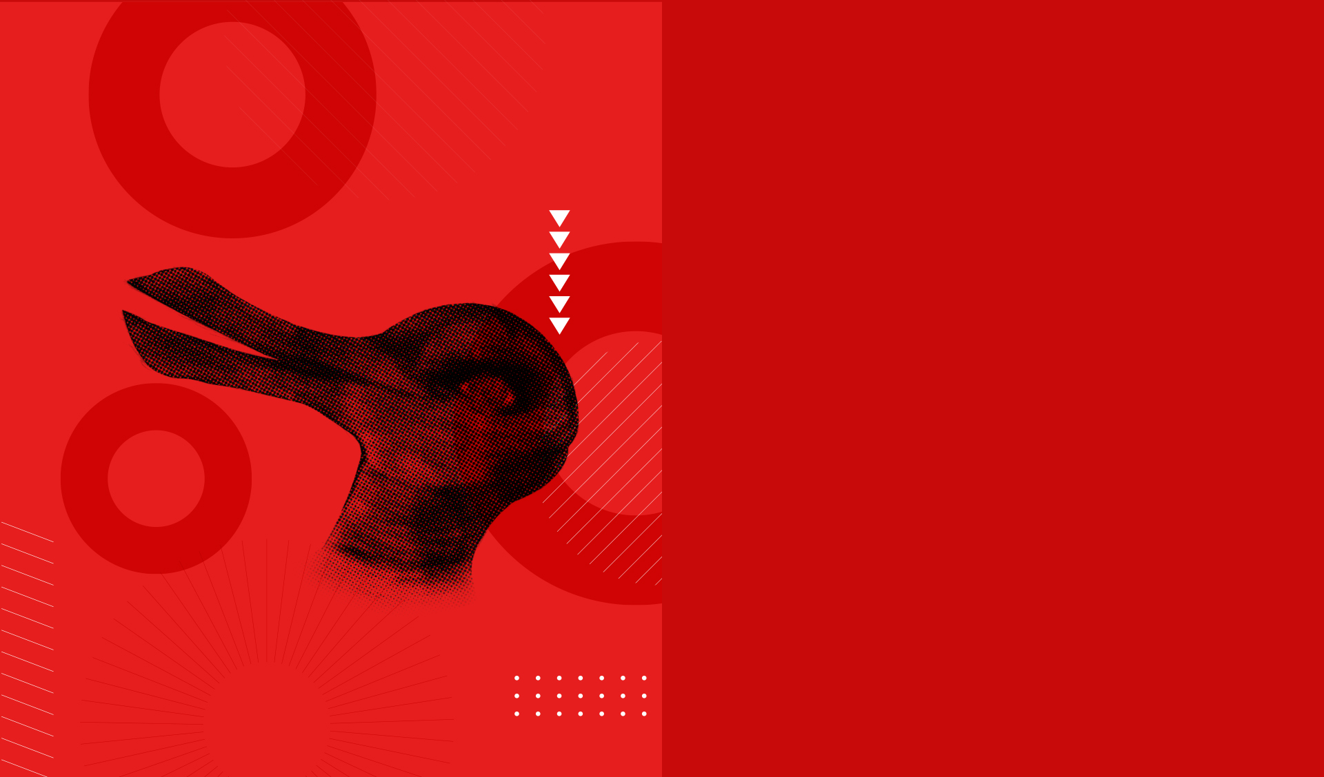 聯(lián)系黑兔鴨